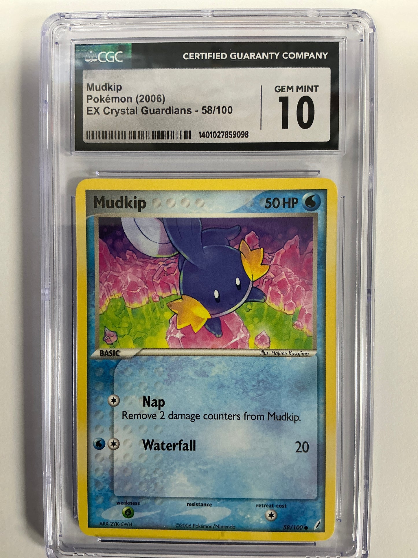 Mudkip 58/100 Pokémon Card